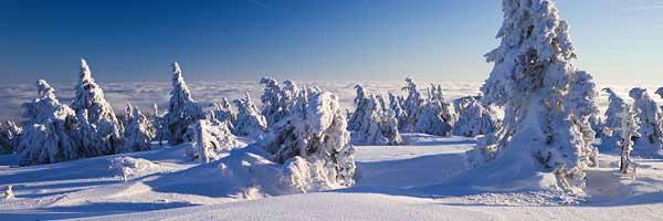 Harz, Germany