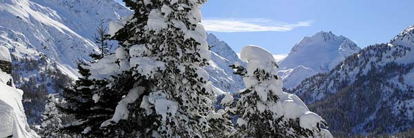 Alta Engadina, Suíça